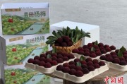 六夫归来高速赋能产业升级：一条“杨梅路”的致富密码